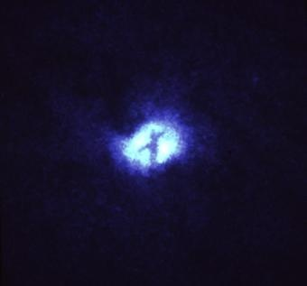 Illustration for article titled We Take the Outerspace Inkblot Test